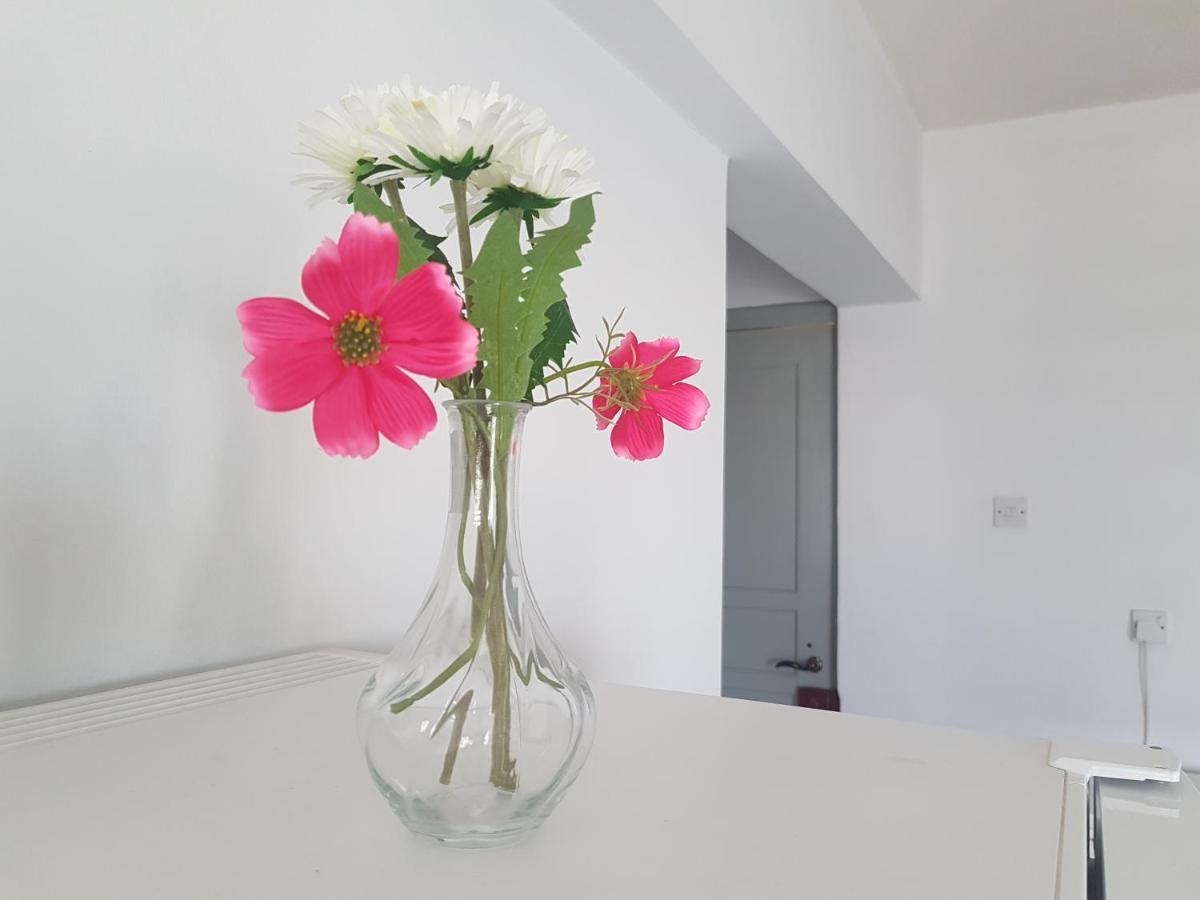 Cozy Holyday Apartament パラリムニ エクステリア 写真